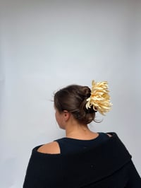 Image 4 of butter yellow chrysanthemum claw