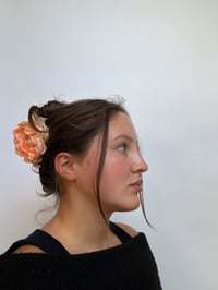 Image 2 of blush ranunculus claw