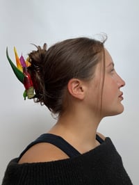Image 4 of bird of paradise