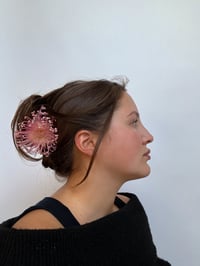 Image 2 of pincushion claw