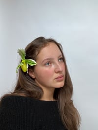 Image 3 of limon lady slipper orchid clip