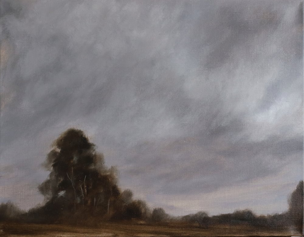Image of Bord de forêt au crépuscule
