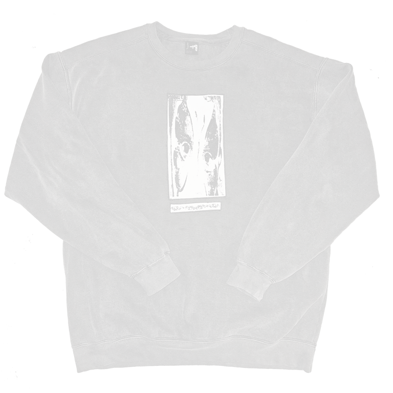 ₵lipping (Applique Sweater)