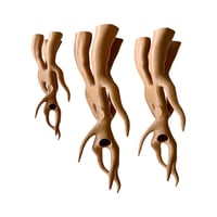 Image 1 of FHOS - Tangled Branch