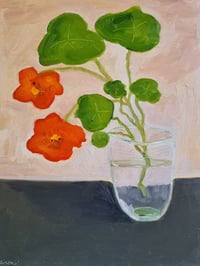 Image 1 of Nasturtiums in Winter