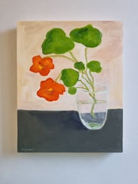 Image 2 of Nasturtiums in Winter