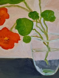 Image 3 of Nasturtiums in Winter