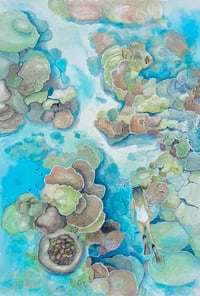 Image 1 of Snorkelling ORIGINAL