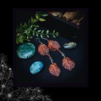 Image 4 of ☽ Corylus Carmina ☾