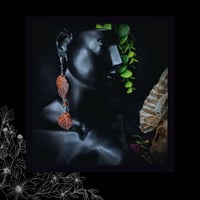 Image 5 of ☽ Corylus Carmina ☾