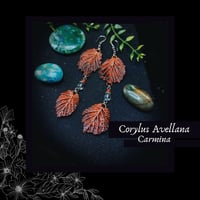 Image 1 of ☽ Corylus Carmina ☾