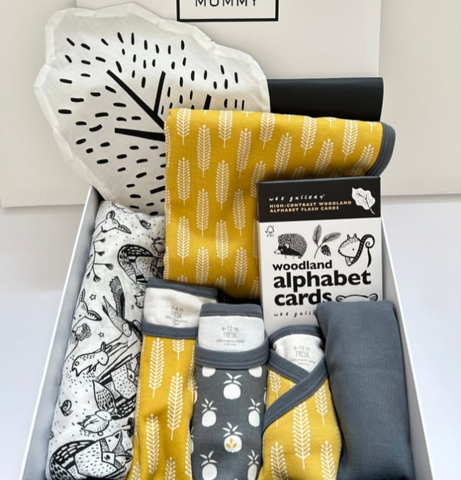 Deluxe Organic Woodland New Baby Gift Box