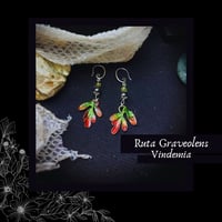 Image 1 of ☽ Ruta Vindemia ☾