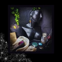 Image 2 of ☽ Ruta Vindemia ☾