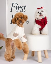 Image 1 of HEART TOP - BEIGE