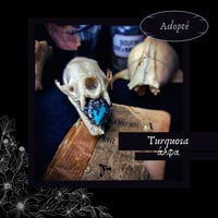 Image 1 of ☽ Turquosa ☾