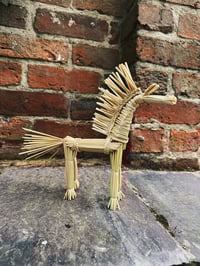 Image 1 of Belarusian Horse