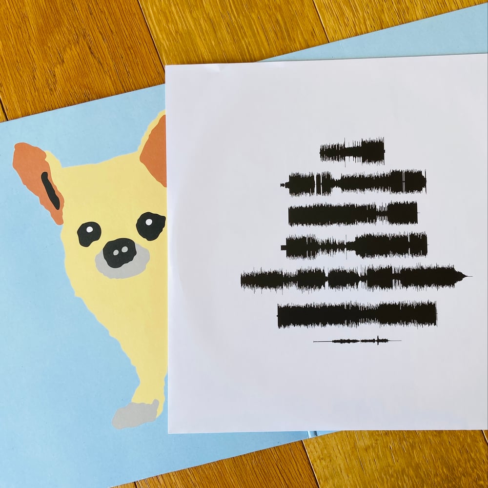 Image of Totorro "Come to Mexico" yellow vinyl edition