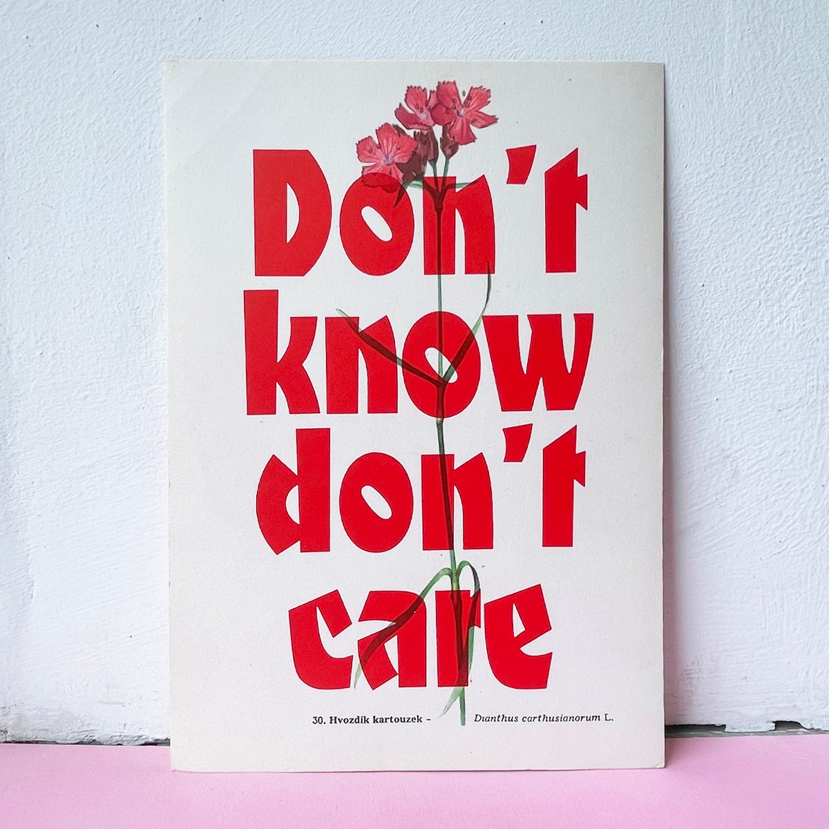 Image of Dont know dont care