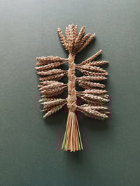Image 1 of French Braid