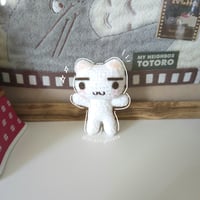 toro kitten