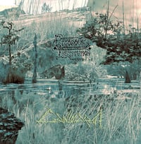 RIGOROUS INSTITUTION - Cainsmarsh LP 