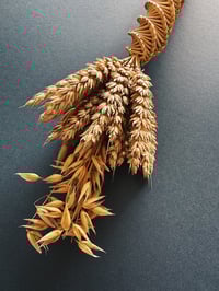 Image 4 of Harvest Neck