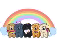 Image 1 of Pride Chows 