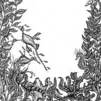 Image 2 of HERBIER SOUS-MARIN - 50 x 70 cm