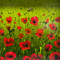 Image 3 of 'Pollen Pilgrim'
