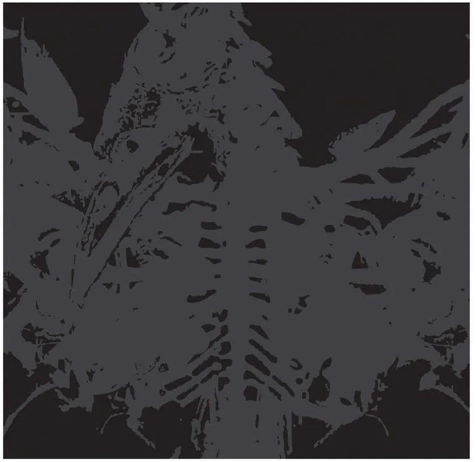 AMENRA - Mass II LP