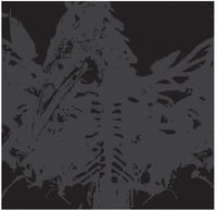 AMENRA - Mass II LP