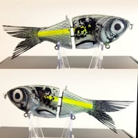 STG - BW Shad