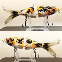 STG-3 - (Koi)