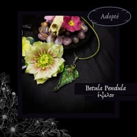 Image 9 of ☽ Betula Pendula ☾