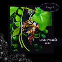 Image 13 of ☽ Betula Pendula ☾