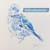 Image 4 of Wren / Chiffchaff / Starling / Yellowhammer