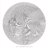 Plate 22