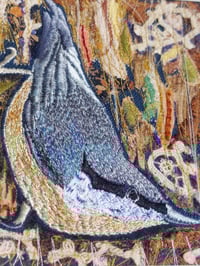 Image 3 of Nuthatch