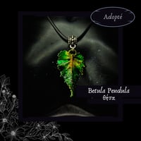Image 12 of ☽ Betula Pendula ☾