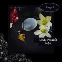 Image 5 of ☽ Betula Pendula ☾