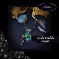 Image 7 of ☽ Betula Pendula ☾