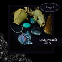Image 8 of ☽ Betula Pendula ☾