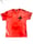 Image of Have you tried? Hand Dyed Tee