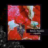 Image 3 of ☽ Betula Pendula ☾