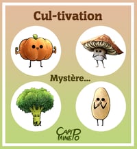 Random Cul-tivation Keychain