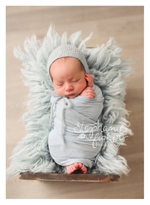 Image of 2025 Summer Newborn Mini Collection
