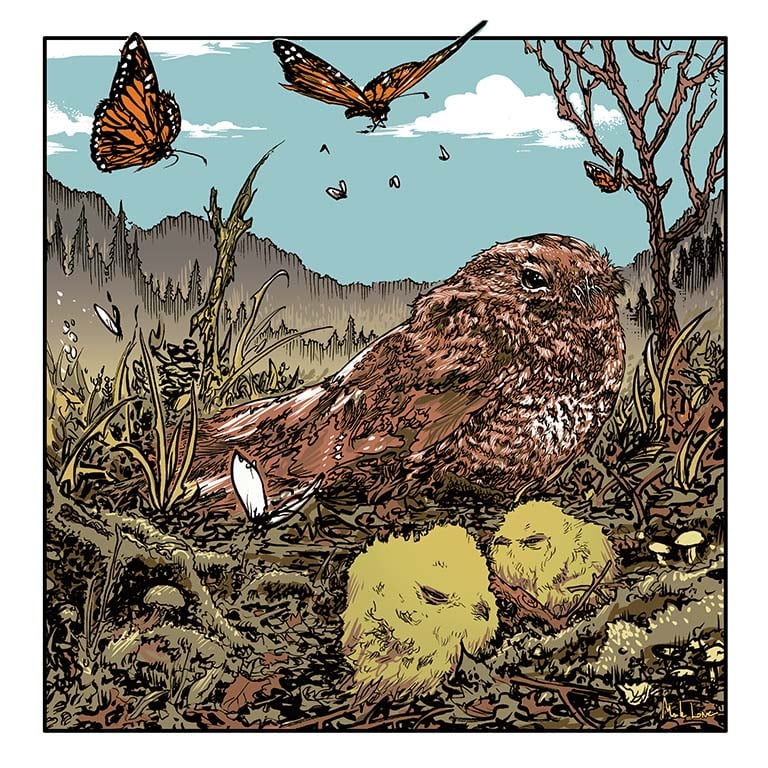 Image of Wooperwill fine art print