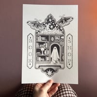 Image 1 of Moon and Moth Book Shop - PRE-ORDER