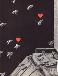 Honeybees | Original Collage 